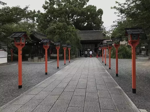 「【京都ぶらり】珍しい夏越の祓『茅の輪』づくり風景も☆桜の名所「平野神社」」の画像