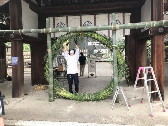 【京都ぶらり】珍しい夏越の祓『茅の輪』づくり風景も☆桜の名所「平野神社」