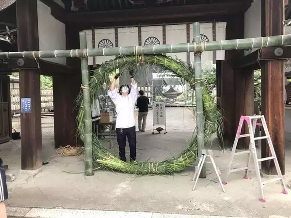 「【京都ぶらり】珍しい夏越の祓『茅の輪』づくり風景も☆桜の名所「平野神社」」の画像
