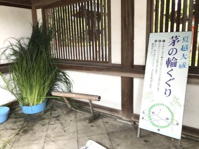 【京都ぶらり】珍しい夏越の祓『茅の輪』づくり風景も☆桜の名所「平野神社」
