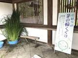 「【京都ぶらり】珍しい夏越の祓『茅の輪』づくり風景も☆桜の名所「平野神社」」の画像5