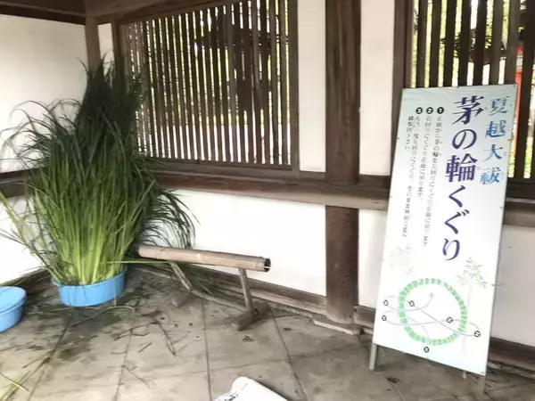 「【京都ぶらり】珍しい夏越の祓『茅の輪』づくり風景も☆桜の名所「平野神社」」の画像