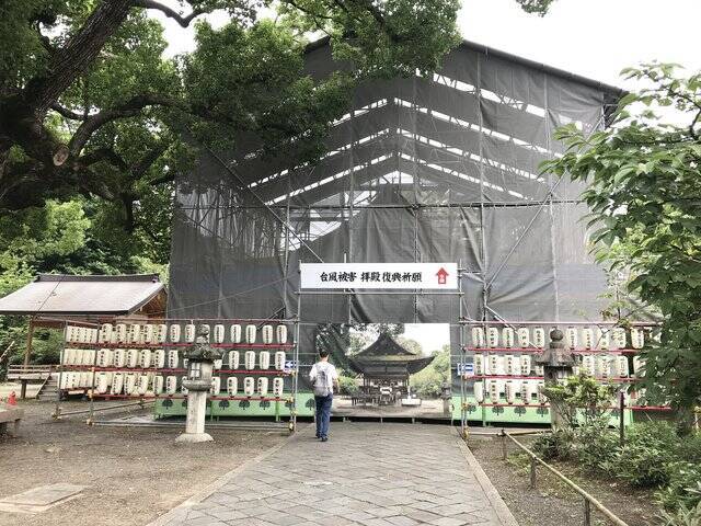 【京都ぶらり】珍しい夏越の祓『茅の輪』づくり風景も☆桜の名所「平野神社」
