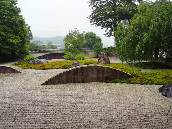 「一度は訪れたい京都岩倉の『実相院』、林修先生もおすすめの”床もみじ”」の画像