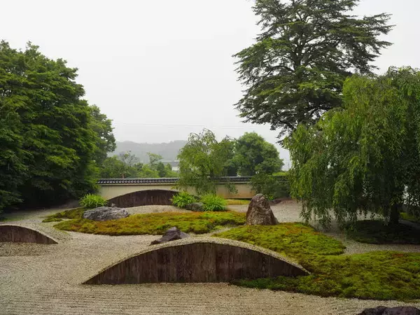「一度は訪れたい京都岩倉の『実相院』、林修先生もおすすめの”床もみじ”」の画像