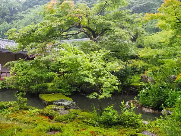 一度は訪れたい京都岩倉の『実相院』、林修先生もおすすめの”床もみじ”