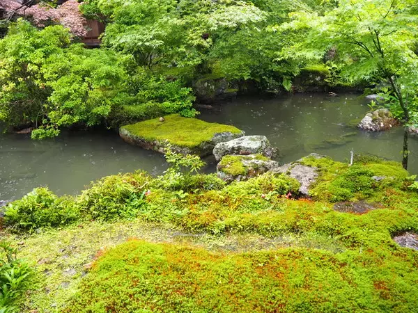 「一度は訪れたい京都岩倉の『実相院』、林修先生もおすすめの”床もみじ”」の画像