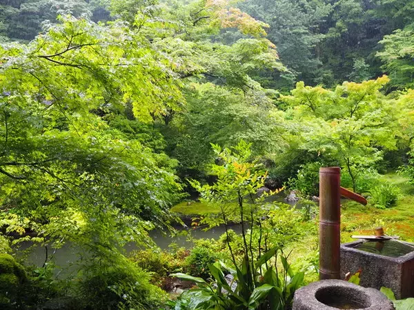 「一度は訪れたい京都岩倉の『実相院』、林修先生もおすすめの”床もみじ”」の画像