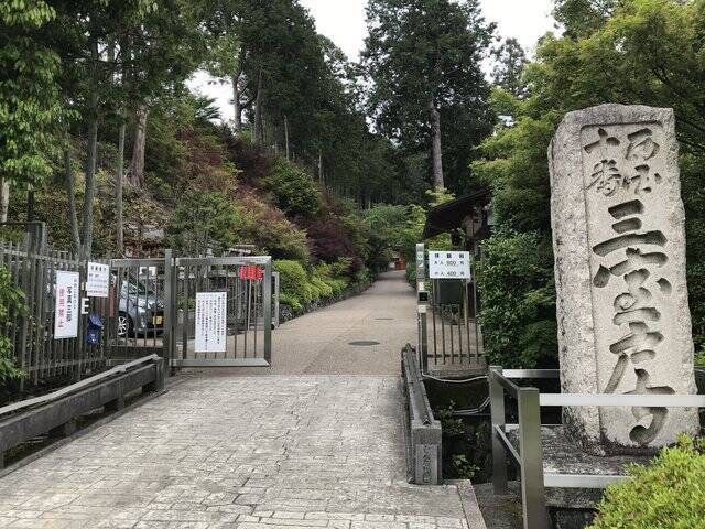 京都の花 京都随一の あじさい寺 6月開始予定ライトアップも準備中 三室戸寺 21年5月16日 エキサイトニュース