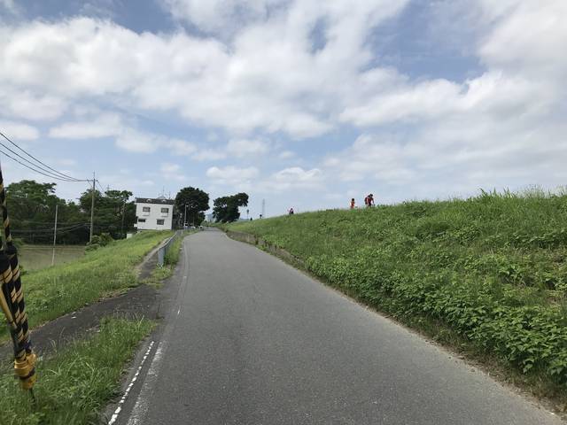 【京都マニアック通り】平安京の大動脈・朱雀大路があった南北を走る通り☆「千本通」後編