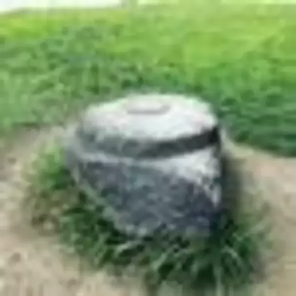 「【京都マニアック通り】平安京の大動脈・朱雀大路があった南北を走る通り☆「千本通」後編」の画像