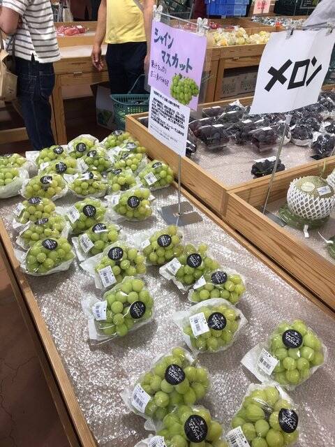 【京都秋の味覚】新米＆丹波栗や京野菜続々入荷☆ファーマーズマーケット『たわわ朝霧』