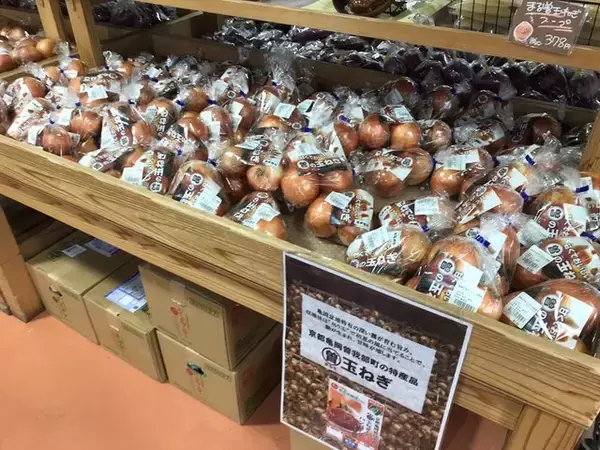 「【京都秋の味覚】新米＆丹波栗や京野菜続々入荷☆ファーマーズマーケット『たわわ朝霧』」の画像