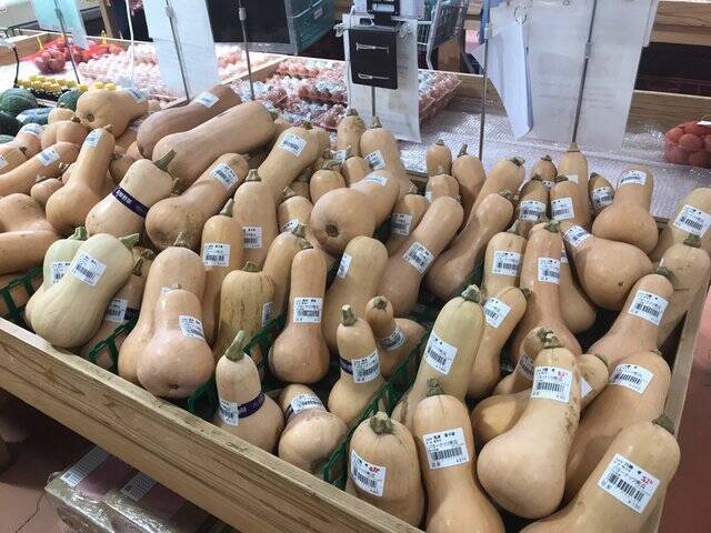 【京都秋の味覚】新米＆丹波栗や京野菜続々入荷☆ファーマーズマーケット『たわわ朝霧』