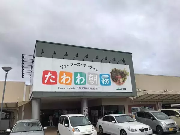 【京都秋の味覚】新米＆丹波栗や京野菜続々入荷☆ファーマーズマーケット『たわわ朝霧』