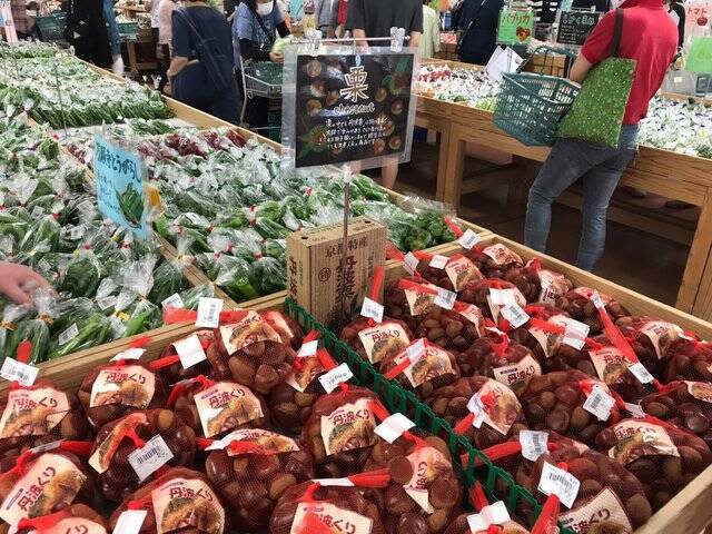 【京都秋の味覚】新米＆丹波栗や京野菜続々入荷☆ファーマーズマーケット『たわわ朝霧』