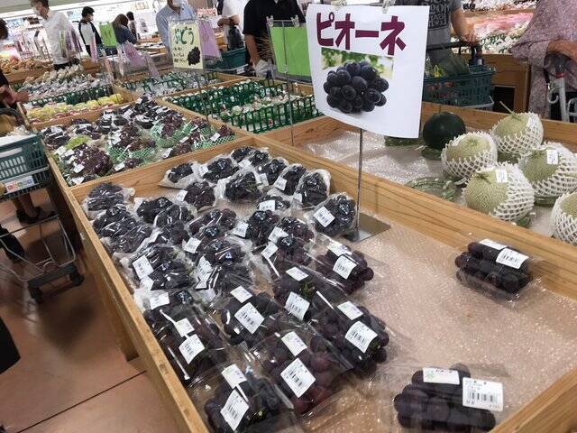 【京都秋の味覚】新米＆丹波栗や京野菜続々入荷☆ファーマーズマーケット『たわわ朝霧』