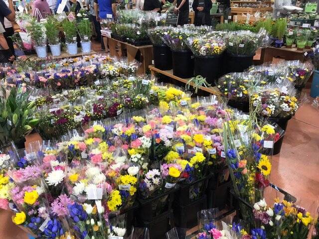 【京都秋の味覚】新米＆丹波栗や京野菜続々入荷☆ファーマーズマーケット『たわわ朝霧』