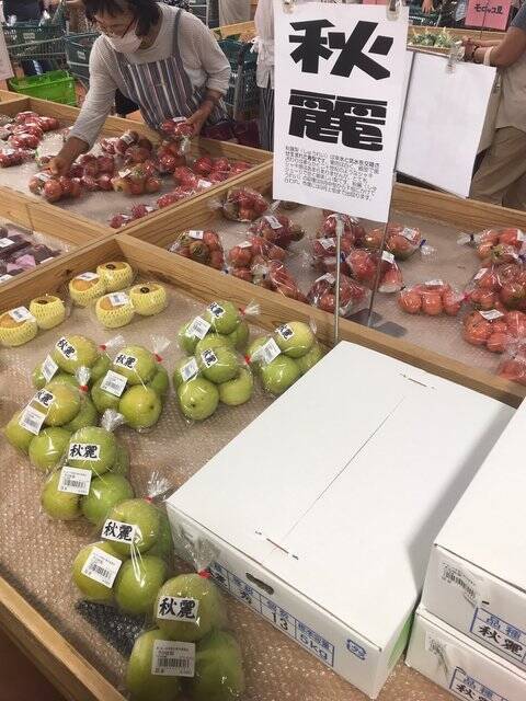 【京都秋の味覚】新米＆丹波栗や京野菜続々入荷☆ファーマーズマーケット『たわわ朝霧』