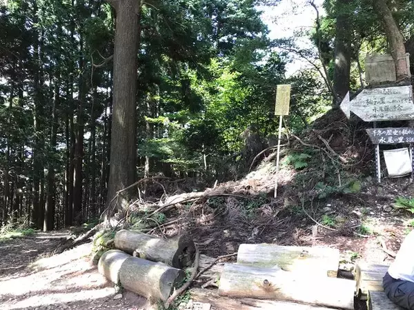 「【京都登山】『火廼要慎』のお札で有名な地元民御用達霊山！秋山風景存分に「愛宕神社」」の画像