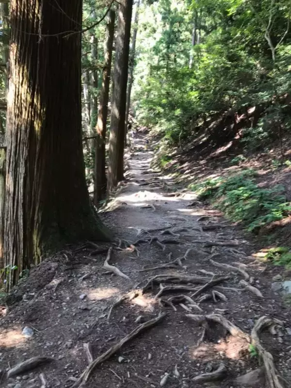 「【京都登山】『火廼要慎』のお札で有名な地元民御用達霊山！秋山風景存分に「愛宕神社」」の画像