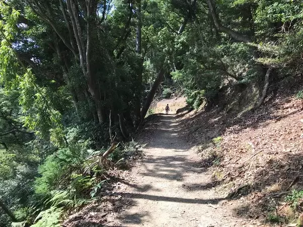 「【京都登山】『火廼要慎』のお札で有名な地元民御用達霊山！秋山風景存分に「愛宕神社」」の画像