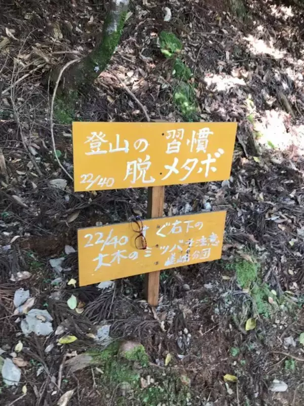 「【京都登山】『火廼要慎』のお札で有名な地元民御用達霊山！秋山風景存分に「愛宕神社」」の画像