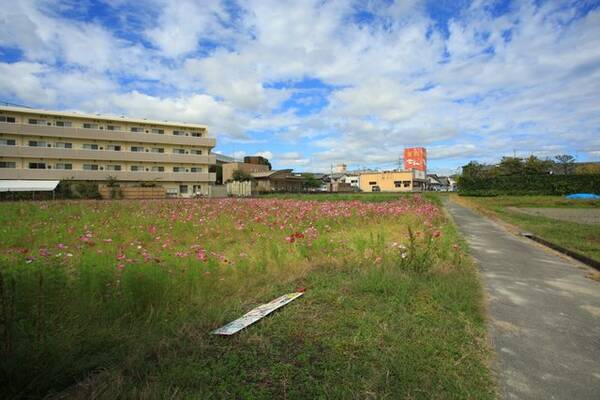 京都花めぐり 可愛い風景 思わず笑顔に コスモス畑とハローキティはるか 21年10月24日 エキサイトニュース 京都花めぐり 可愛い風景 思わず笑顔に コスモス畑とハローキティはるか 21年10月24日 エキサイトニュース