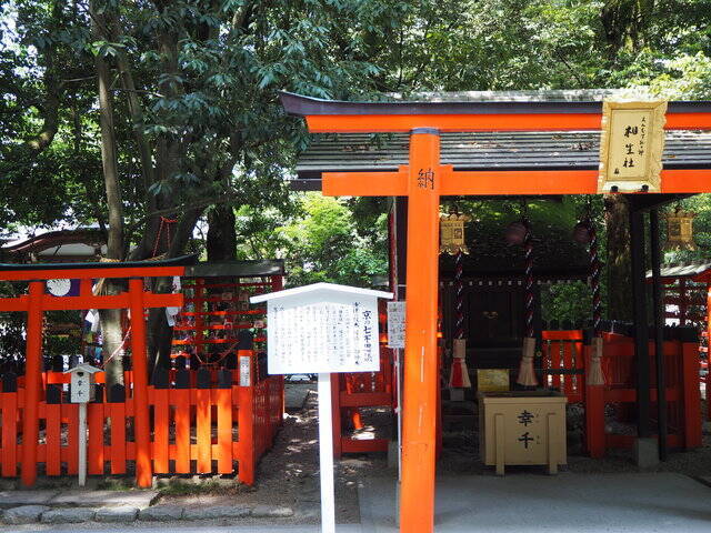 太古の森、世界遺産「下鴨神社」で恋愛成就ツアー