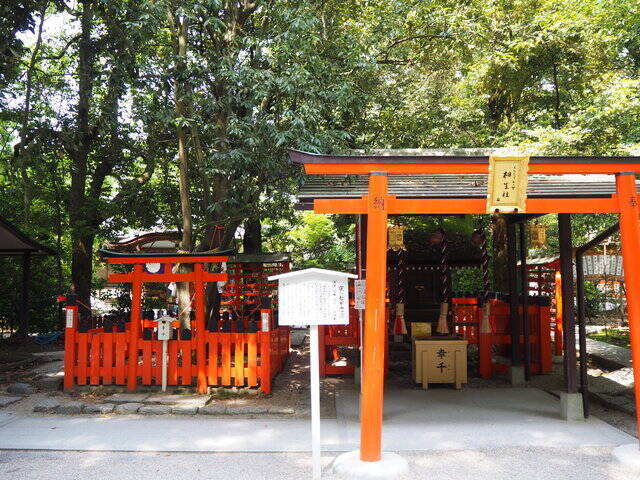 太古の森、世界遺産「下鴨神社」で恋愛成就ツアー