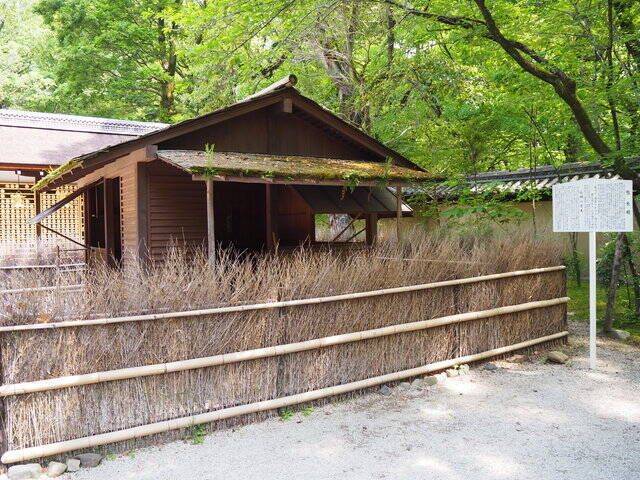 太古の森、世界遺産「下鴨神社」で恋愛成就ツアー