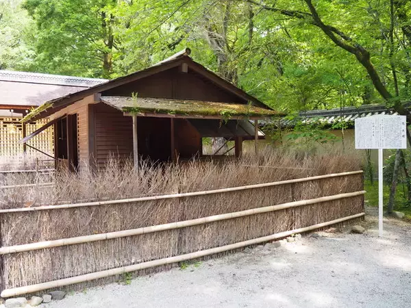 「太古の森、世界遺産「下鴨神社」で恋愛成就ツアー」の画像