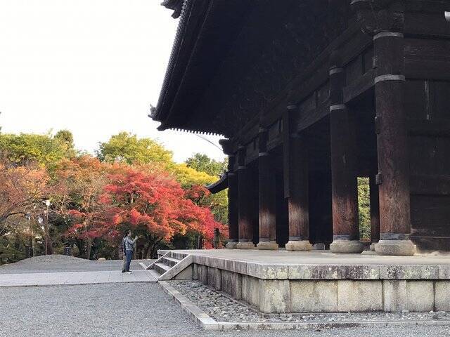 21京都紅葉 人気スポット南禅寺水路閣奥の知る人ぞ知る穴場 最勝院高徳庵 21年11月15日 エキサイトニュース