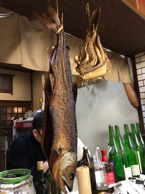 【京都居酒屋】烏丸御池の隠れ家☆日本酒＆旬のアテに名物『素焼そば』で〆「酒亭笹蔵」