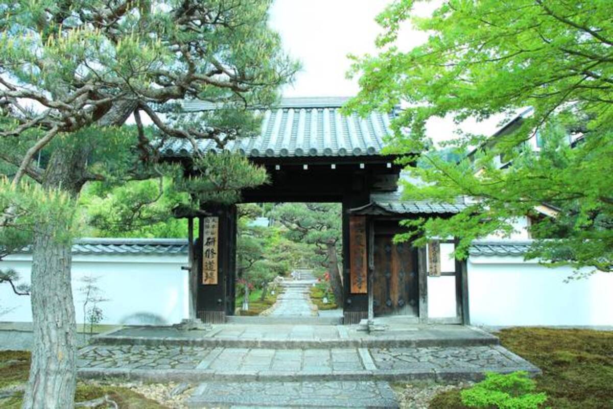 京都花めぐり 春は花と新緑が美しい 紅葉の名所 圓光寺 一乗寺エリア 年4月28日 エキサイトニュース
