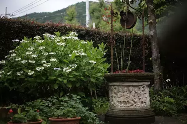 「45年の歴史を見守ってきた風見鶏☆老舗喫茶店「再會」【京都・山科】」の画像