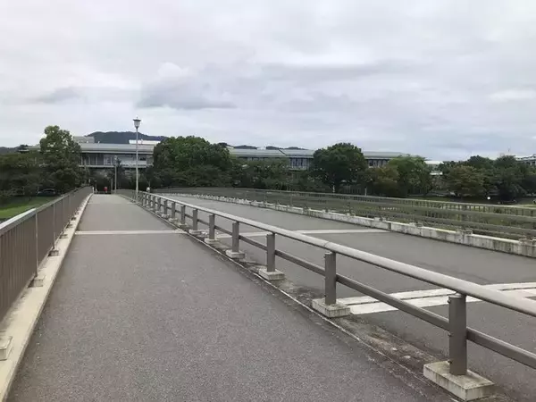 「【京都ぶらり】御所東にある『京の七口』関所☆激動の歴史を重ねた名橋「荒神橋」」の画像