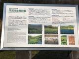 「【京都ぶらり】国の天然記念物・生物群集あり！かつて心霊スポットとも称された「深泥池（みどろがいけ）」」の画像3