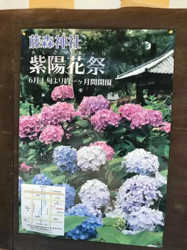 「【京都の花】境内は3500本の紫陽花祭☆花手水必見のあじさい名所「藤森神社」」の画像