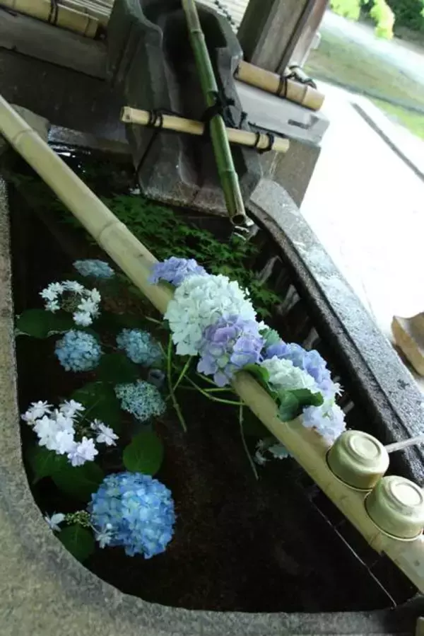 「京都のあじさいを巡る｜「真如堂」で1,000株のあじさいと新緑に癒される」の画像