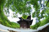 「【南禅寺】夏はゆったりと青もみじに癒されました♪【京都フォトスポット巡り】」の画像3