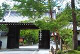 「【南禅寺】夏はゆったりと青もみじに癒されました♪【京都フォトスポット巡り】」の画像1
