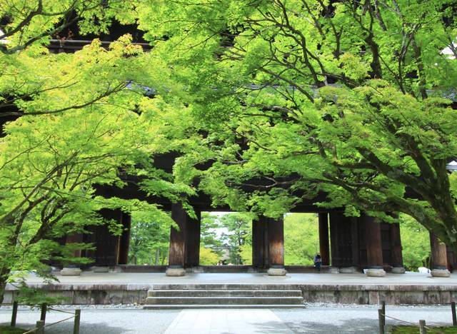 【南禅寺】夏はゆったりと青もみじに癒されました♪【京都フォトスポット巡り】
