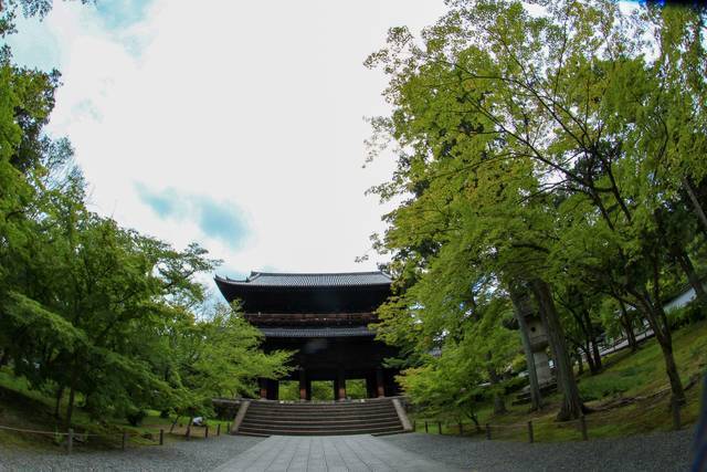 【南禅寺】夏はゆったりと青もみじに癒されました♪【京都フォトスポット巡り】