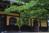 「【南禅寺】夏はゆったりと青もみじに癒されました♪【京都フォトスポット巡り】」の画像6