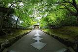 「【南禅寺】夏はゆったりと青もみじに癒されました♪【京都フォトスポット巡り】」の画像9