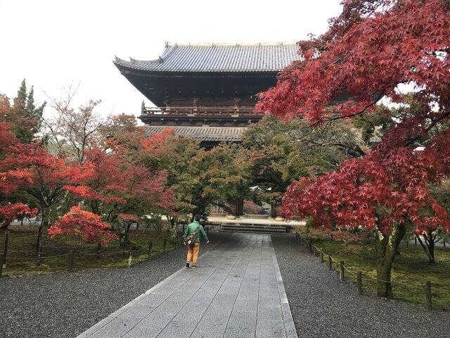 京都紅葉最新 知る人ぞ知る南禅寺水路閣脇の穴場スポット 最勝院高徳庵 年11月10日 エキサイトニュース