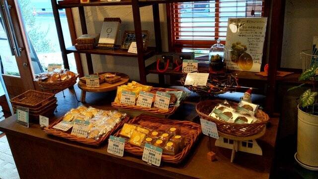 【京都カフェ】豆乳パティシエが作る、めずら美味しいヘルシーカレーが魅力的♪一乗寺「むしやしない648471」