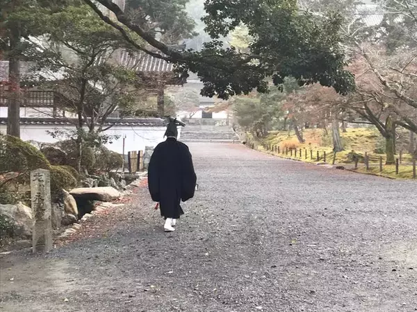 「【2021京都紅葉最終】今シーズン見納め☆南禅寺～永観堂～哲学の道～安楽寺～法然院」の画像