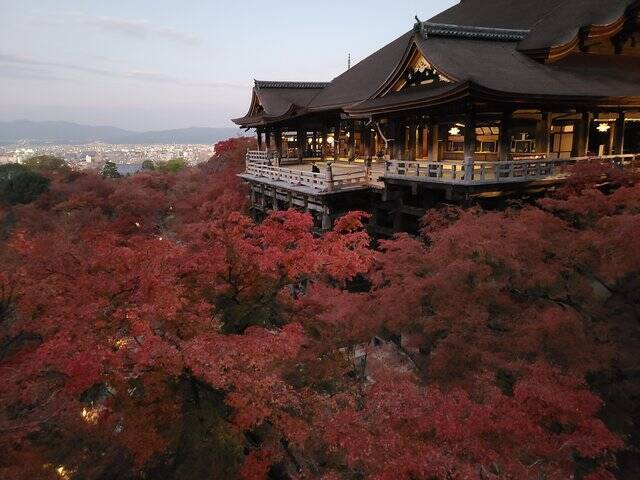 京都東山 紅葉の名所は早朝が良い 清水さん 清水寺 八坂さん 八坂神社 円山公園 二寧坂 21年11月29日 エキサイトニュース